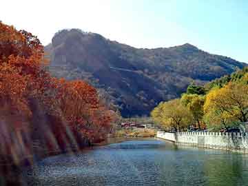 天天彩好彩天天免费，微山网站建设